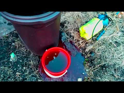 Видео: ПАН38. Как защитить растения без химии и постоянно повышать плодородие почвы на участке.