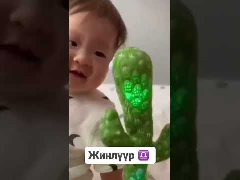 Видео: Ордуудын дотор хүүхдүүд♈️♉️♊️♋️♌️♍️♎️♏️♐️♑️♒️♓️Тa нарыхтай таарч байна уу?🤭