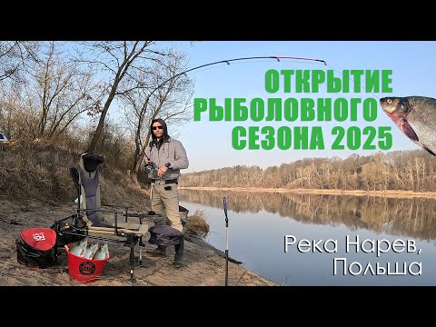 Видео: 💥 Фидер рвёт! Начало рыболовного сезона в Польше 2025! / Фидерная рыбалка / Ловим весеннюю плотву