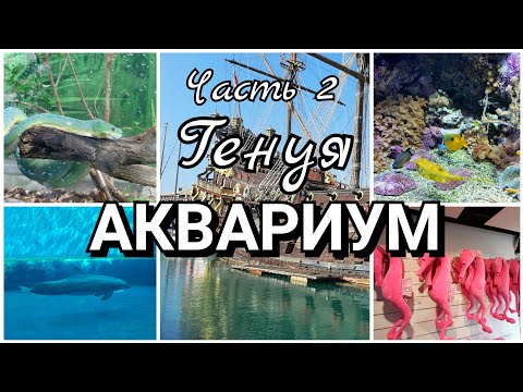 Видео: Аквариум, Генуя, Лигурия 💙 Часть 2 🇮🇹 Acquario. Genova, Liguria 🐬 Parte 2