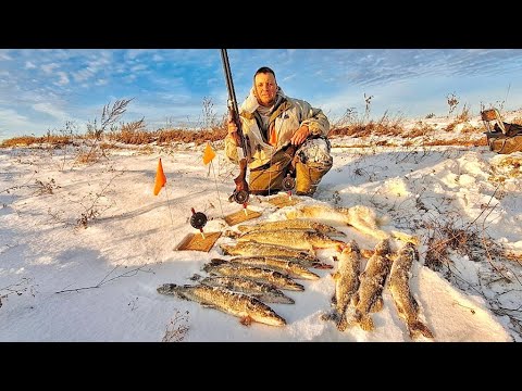 Видео: ЩУКИ , ЗАЙЦЫ, ДА ЧТО ЗДЕСЬ ТВОРИТСЯ!!!