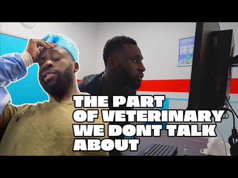 Видео: ДЕНЬ ИЗ ЖИЗНИ ВЕТЕРИНАРА: Уязвимый видеоблог
