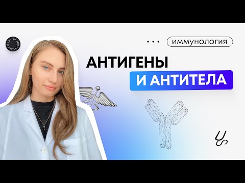 Видео: Иммунология | Антигены и антитела