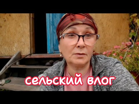 Видео: Утепляю курятник(продолжение). Спеет клубника.