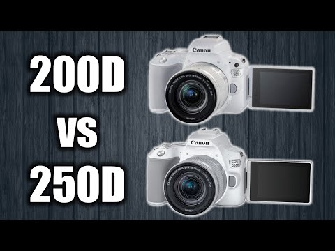 Видео: Canon 250D vs 200D: шило на мыло?!