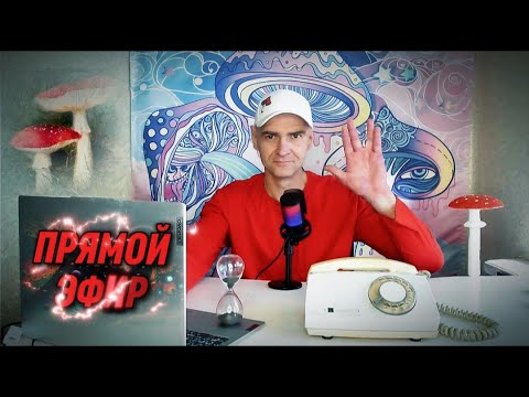 Видео: ЗАТИШЬЕ 🍄