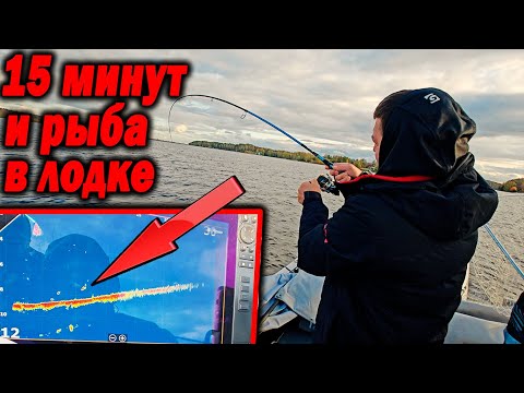 Видео: 15 минут и рыба в лодке. Хрень для ЛОРАНС работает! АКТИВ ТАРГЕТ 2 первый опыт