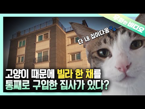 Видео: Странные и уникальные арендаторы