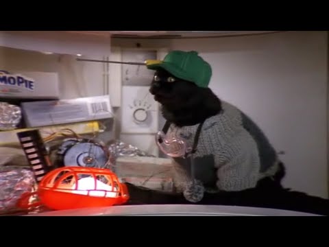 Видео: Все моменты с котом Селем | Сабрина маленькая ведьма