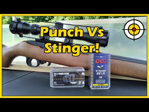Видео: Тест баллистического геля Federal Punch против CCI Stinger .22lr с карабином Ruger 10/22!