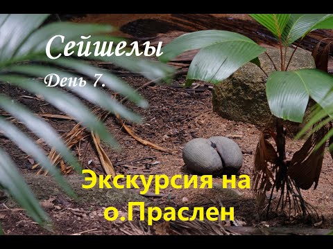 Видео: Сейшелы день 7. Экскурсия на о.Праслен