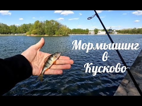 Видео: Рыбалка в Кусково / Мормышинг №1