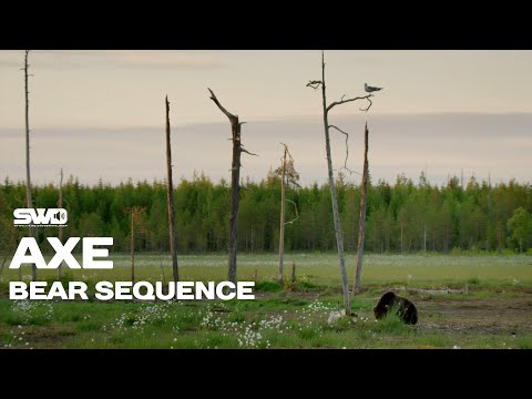 Видео: Медведь и шакал. rework: PROfan