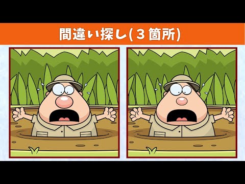 Видео: Найдите 3 отличия | Иллюстрация Версия #728