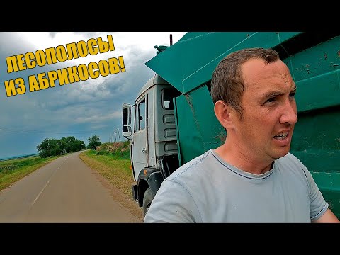 Видео: КУДА Я ПРИЕХАЛ?! 200км НА САМОСВАЛЕ В КАКУЮ-ТО ГЛУШЬ! Надо уносить ноги.