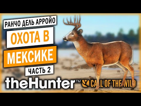 Видео: theHunter Call of the Wild #2 🦃 - ОХОТА НА ОЛЕНЕЙ В МЕКСИКЕ - Охота с Собакой (2021)