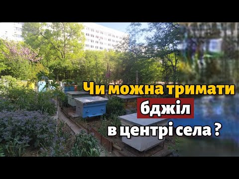 Видео: Правила розміщення пасіки в населеному пункті