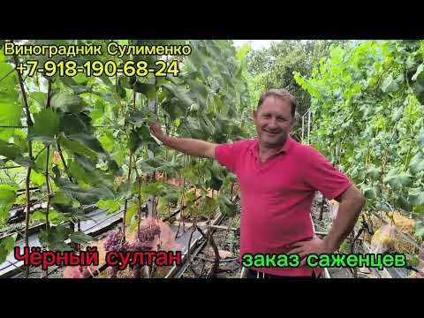 Видео: к/м Красное пламя, Чёрный султан, Долгожданный.