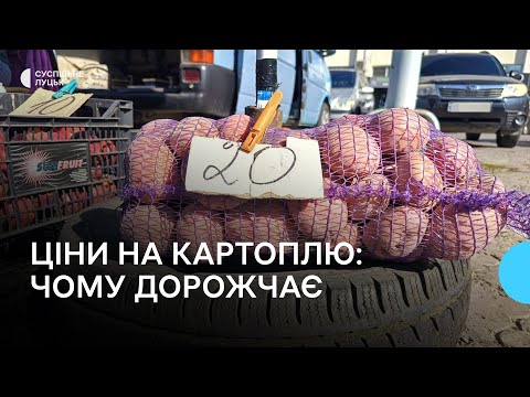 Видео: На Волині здорожчала картопля: що стало причиною збільшення ціни