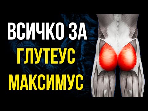 Видео: Глутеус Максимус - Функции, Тестове, Упражнения и Стречинг