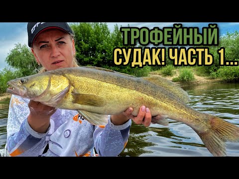 Видео: ТРОФЕЙНЫЙ СУДАК НА ДЖИГ В ИЮНЕ! ГДЕ, КАК и НА ЧТО ловить судака летом? Рыбалка на судака в июне 2021