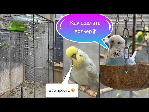 Видео: Как сделать вольер для попугаев