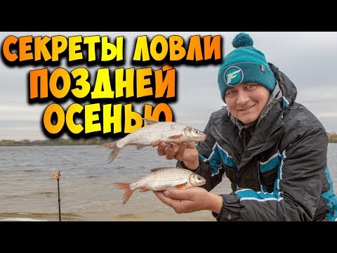 Видео: Крупная ПЛОТВА прёт на фидер! Секреты ловли рыбы поздней осенью! ТАКТИЧЕСКИЙ ФИДЕР!