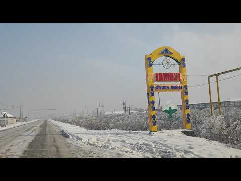 Видео: Мақтаарал Жамбыл а/о Көкпарсай ауылы