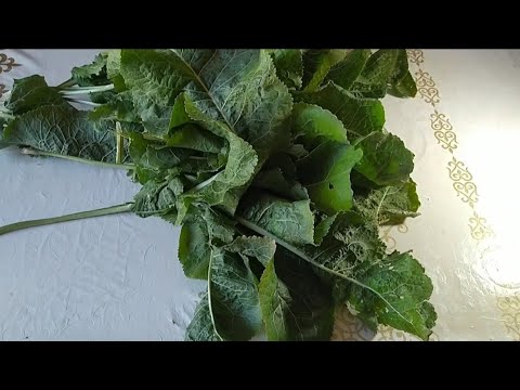 Видео: Листья Хрена с Чесноком очень вкусная и полезная закуска