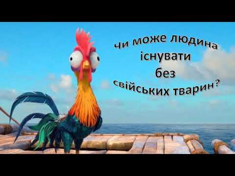 Видео: Урок 71.  Чи може людина існувати без свійських тварин? Я досліджую світ 3 клас.