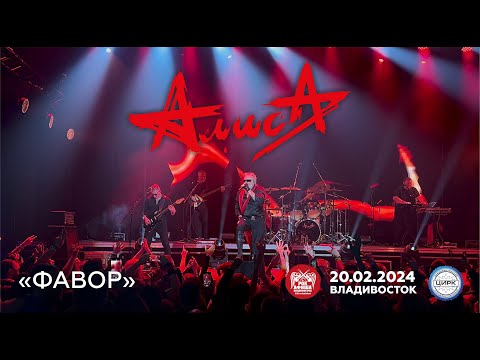 Видео: Алиса - Фавор (Live • Владивосток • 20.02.2024)