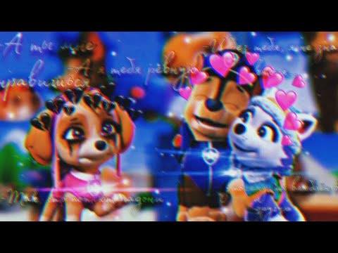 Видео: 🌸Гонщик и Скай🌸(Ревную)~Для  Софии Диановой~🌸Chase x Skye🌸