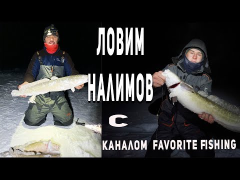 Видео: Ловим Налима. Река Нура не далеко от города.