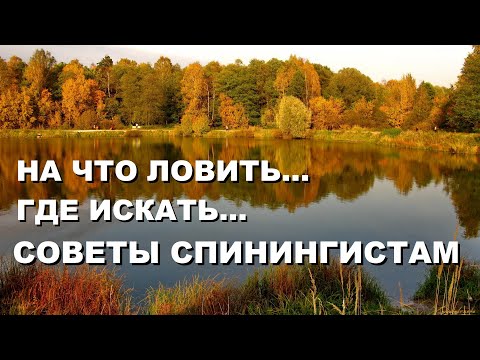 Видео: Окунь ОСЕНЬЮ: На Что Ловить, где Искать, Советы Спиннингистам… SeMano TV