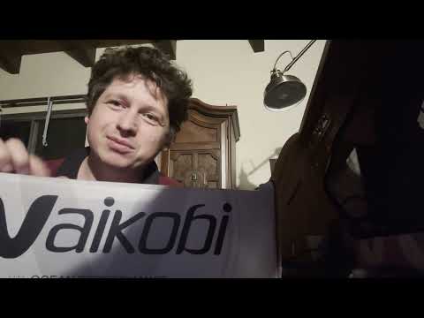 Видео: Что делать с дублями спортивных картриджей? Набор пираток за 53$. Распаковка посылок в США.