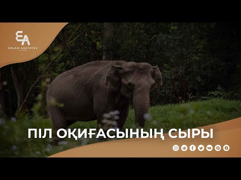 Видео: "Піл оқиғасының сыры" | Ұстаз Ерлан Ақатаев ᴴᴰ