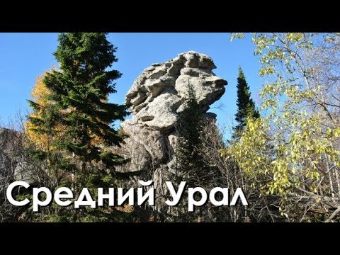 Видео: ЗАГАДОЧНЫЙ ШУНУТ-КАМЕНЬ