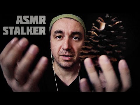 Видео: АСМР СТАЛКЕР - The Heart of ASMR