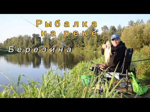 Видео: Рыбалка на реке Березина