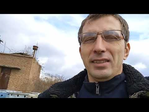 Видео: Перевёз пчёл в Адыгею 03.11.24