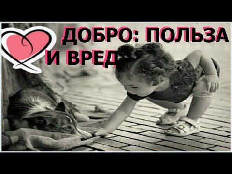 Видео: Почему наше добро может вредить окружающим?