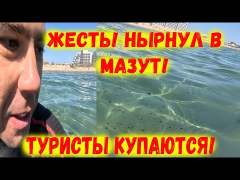 Видео: Жесть! Нырнул в мазут! Туристы купаются в Анапе!