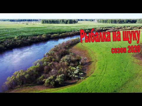 Видео: рыбалка на щуку в июне/река Омь/сибирские красоты