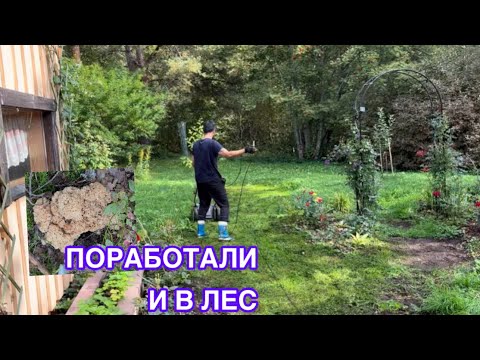 Видео: #жизньвфинляндии#сад#лес Поработали в саду и дома. Нашли в лесу необычный очень редкий гриб 