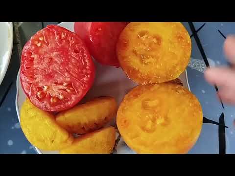 Видео: Обзор томатов 18 июля 🍅по вкусу ,в разрезе🍅