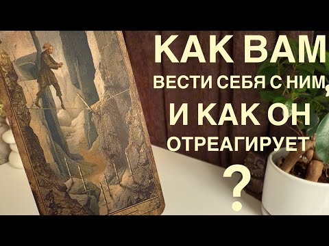 Видео: Как вам вести себя с ним, и как он отреагирует?