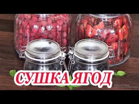 Видео: Большая сушка сезонных ягод на зиму! Клубника, малина, черника для кондитерских изделий