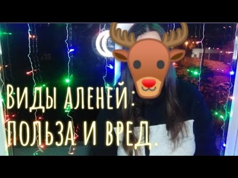 Видео: Виды АЛЕНЕЙ. Женский взгляд.