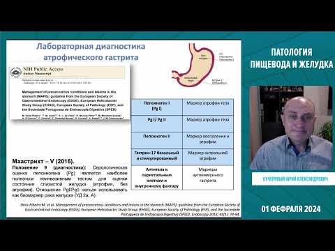 Видео: 01.02.2024 Конференция ПАТОЛОГИЯ ПИЩЕВОДА И ЖЕЛУДКА