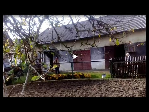 Видео: Ой як роки летять